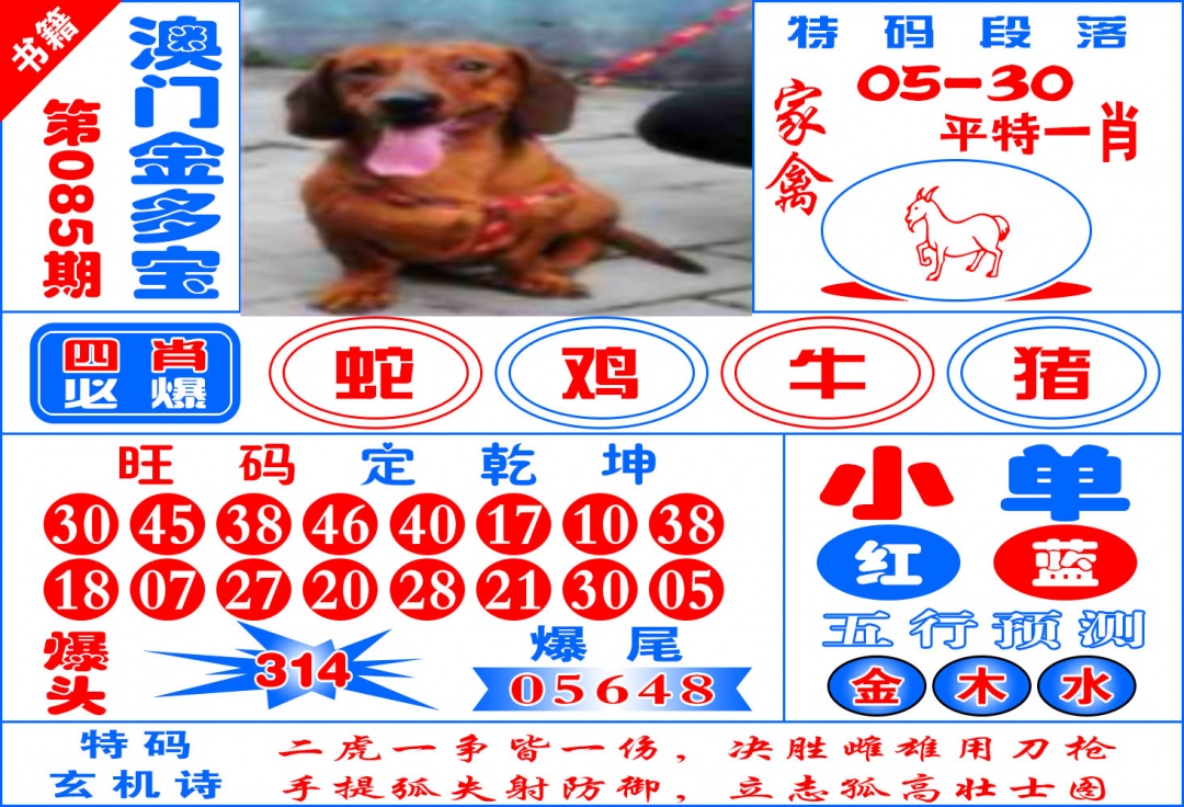 085期澳门金元宝[图]